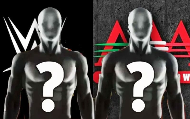 AAA talent was ordered to learn English after WWE's acquisition