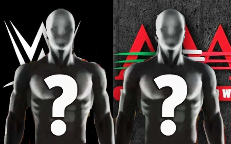 AAA's internal reaction to WWE's acquisition revealed
