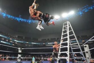 WWE Star Status After Wild TLC Match in Smackdown