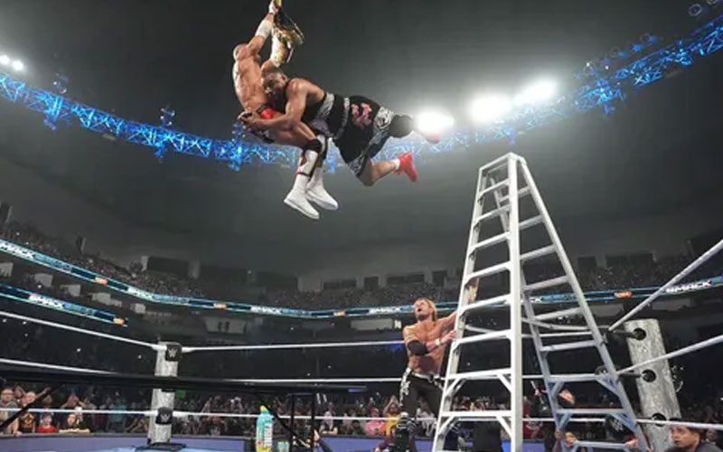 WWE Star Status After Wild TLC Match in Smackdown