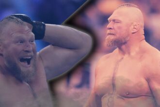 What has Brock Lesnar done since leaving WWE?