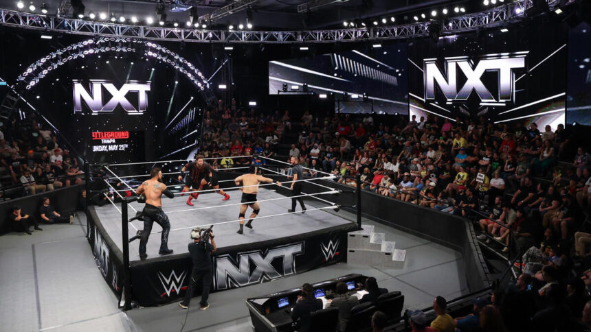 CW's president says WWE NXT was the network's "absolute game changer"