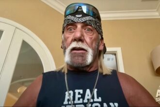 Hulk Hogan and his company want to acquire the Hooters brand