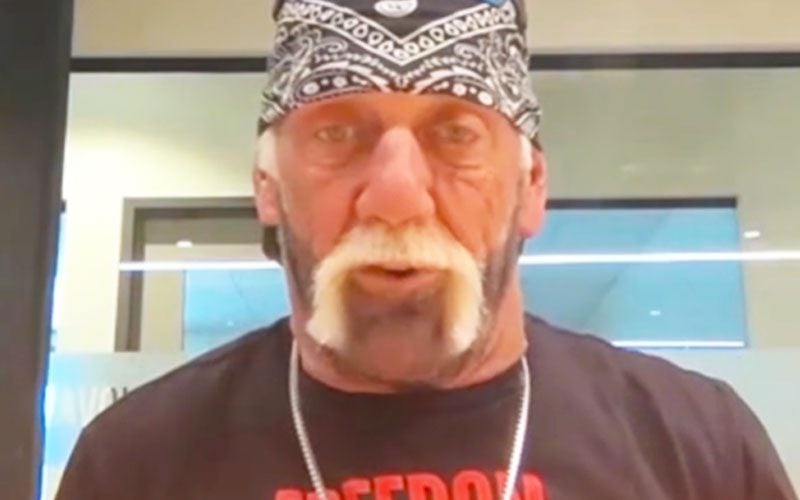 Hulk Hogan explains why he's booed and well--even in major cities