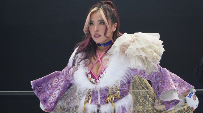 Mina Shirakawa's major update on the future of AEW