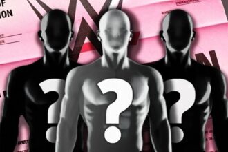 Released WWE talent could return to the ring earlier than expected