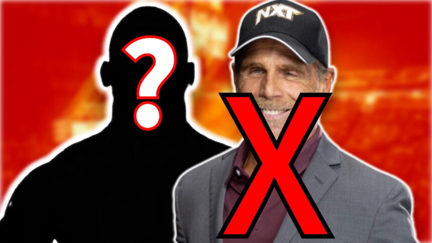 WWE Replacement For Shawn Michaels
