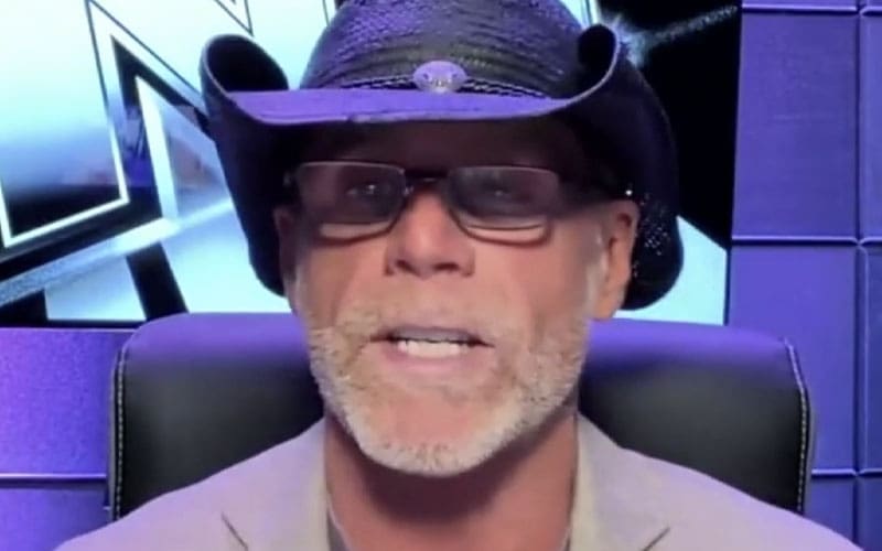 Shawn Michaels claims that modern WWE tag teams won't hit the way they used to