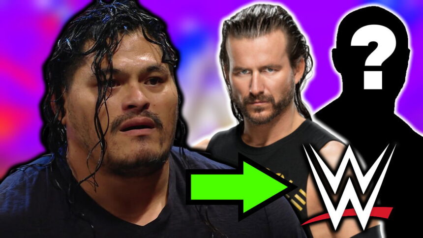 6 New WWE Signings To Join Jeff Cobb