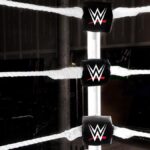 Released WWE Star Expected To Be Done With Wrestling