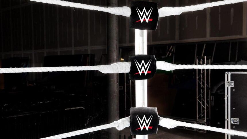 Released WWE Star Expected To Be Done With Wrestling
