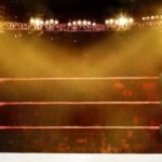 Former WWE Star Doesn’t Plan On Wrestling On TV Again