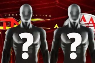 WWE Evolution2 is expected to feature mutual promotions from TNA and AAA talent