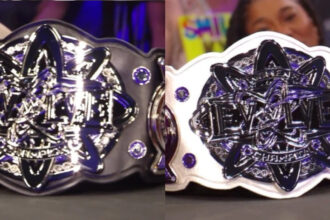 WWE Evolve title revealed, champions will be crowned in elimination matches