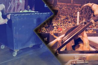 WWE basically matches regulations that have the same rules