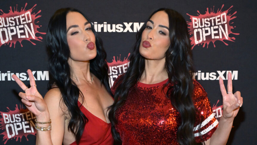 A wrestler who can't stand Nicky and Brie Bella