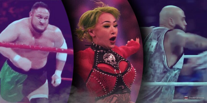 Wrestling is a diving botch that left fans worried