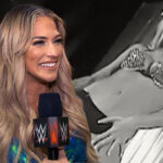 Kelly Kelly hopes she forgets the "Clinge" wwe reveal