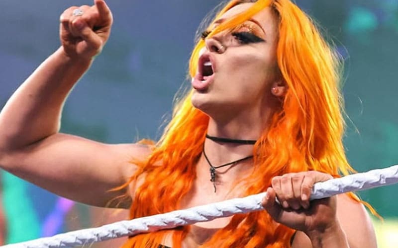 Priscilla Kelly invites fans to reduce her to her body only