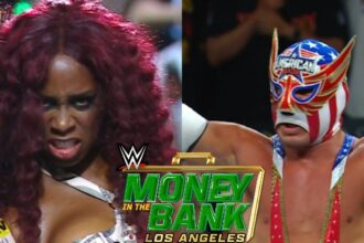 Four hidden details from bank money 2025 WWE fans missed