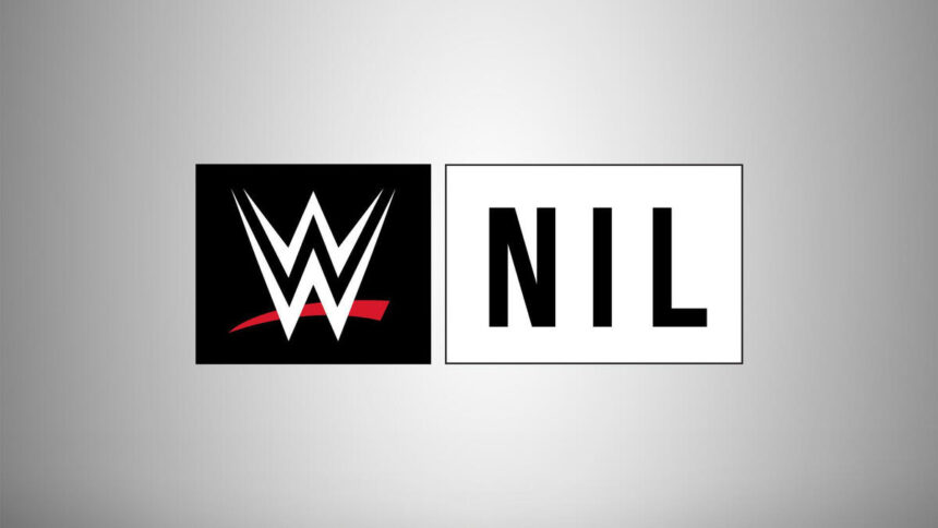 Hall of Fame included in the latest WWE NIL class