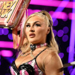 WWE money in bank ladder match