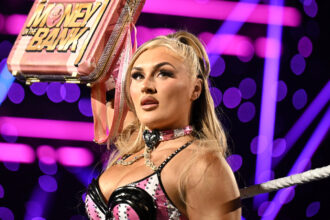 WWE money in bank ladder match