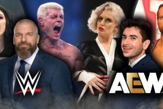 What is the better company for wrestling fans?