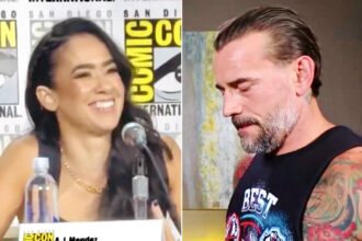 AJ Lee suggests a potential collaboration with CM Punk despite the "not working together" rule