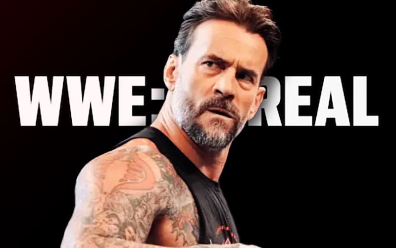 CM Punk Questions WWE Decided to Show Behind the Scenes on Netflix Series