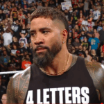 All the families before the summer slam (July 28, 2025)