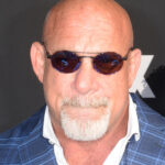 Goldberg says he doesn't want to go out to a Saudi Arabia match.