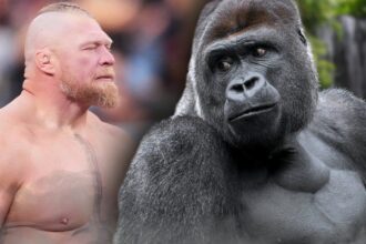 How many wrestlers are there to win?
