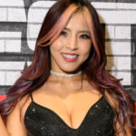 Details of the injury suffered by interim ROH champion Minashirakawa at AEW in 2025