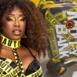 Naomi offers cash rewards to transfer lost custom suitcases