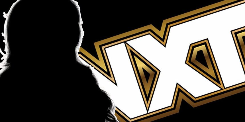 Recently released WWE Star Back with Company in New Chore