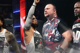 10 Best Tag Teams in WWE History Ranked for Longevity