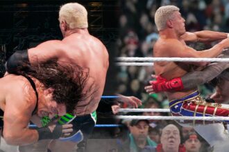 Best wrestlers to use spears