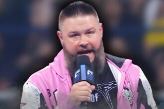 WWE wrestler injured in 2025