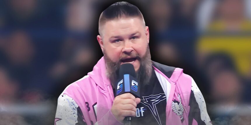 WWE wrestler injured in 2025