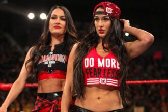 WWE's Nikki Bella teases future Bella Twins moments