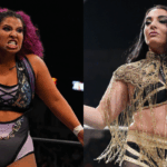 Willow Nightingale defends Donna Plazzo from bodiing