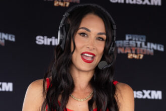 Brie Bella details the challenges of juggling a career on reality TV, Motherhood and WWE