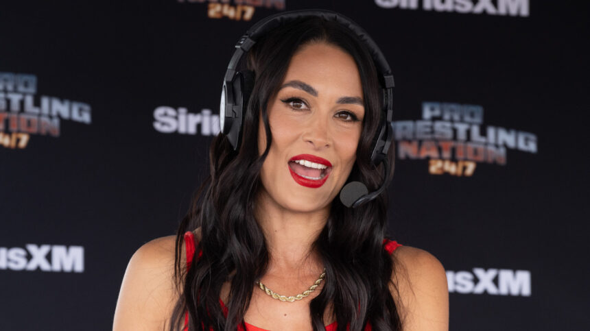 Brie Bella details the challenges of juggling a career on reality TV, Motherhood and WWE