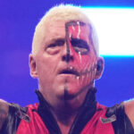 Who is the wife of AEW star Dustin Rhodes?