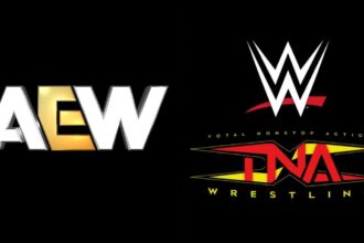 AEW Name Sends Heartfelt Message To WWE & TNA Champions
