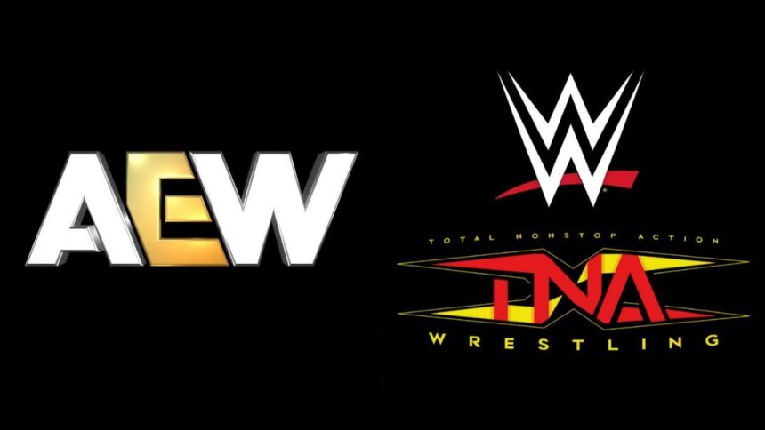 AEW Name Sends Heartfelt Message To WWE & TNA Champions