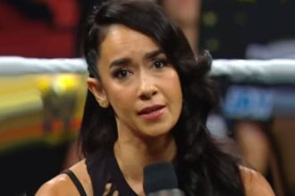 AJ Lee stunned by unique fan chants after returning to WWE