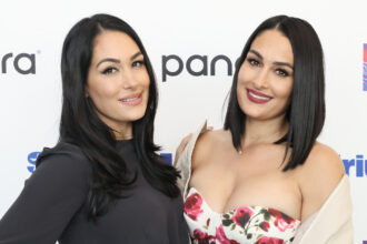 WWE's Nikki Bella says her current career would be 'lonely' without her sister Brie