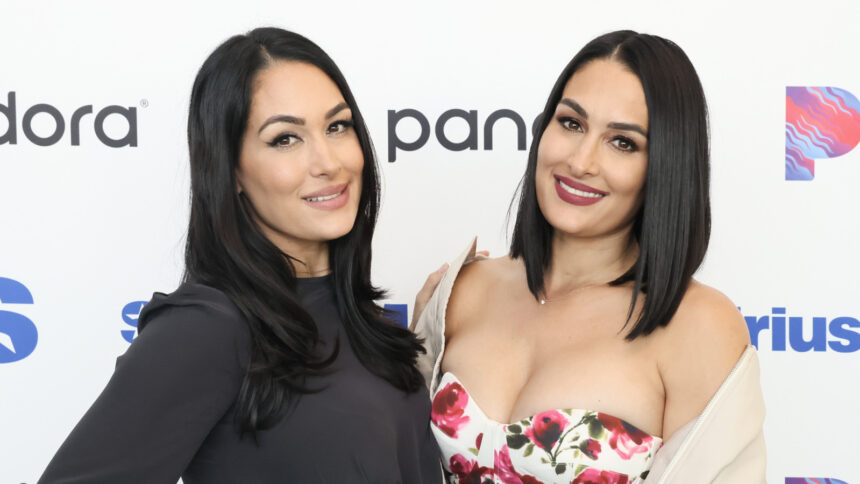 WWE's Nikki Bella says her current career would be 'lonely' without her sister Brie